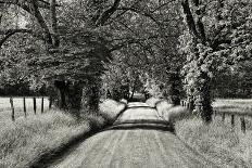 USA, Tennessee, Great Smoky Mountains NP. Dirt Road in Cades Cove-Dennis Flaherty-Photographic Print