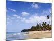 Premium Photographic Print