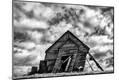 Photographic Print