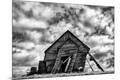 Photographic Print