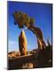 Premium Photographic Print