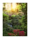 Sunset Clouds and Palm Trees, Hawaii, The Big Island-Dennis Frates-Art Print