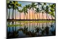 Premium Photographic Print