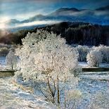 Winter Scene on Loch Shiel, Lochaber-Dennis Hardley-Photographic Print