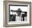 Dennis Hopper - Easy Rider-null-Framed Photo