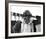 Dennis Hopper - Easy Rider-null-Framed Photo