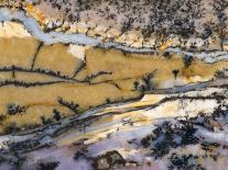 Close-Up of Amethyst Sage Agate, Nevada, USA-Dennis Kirkland-Photographic Print