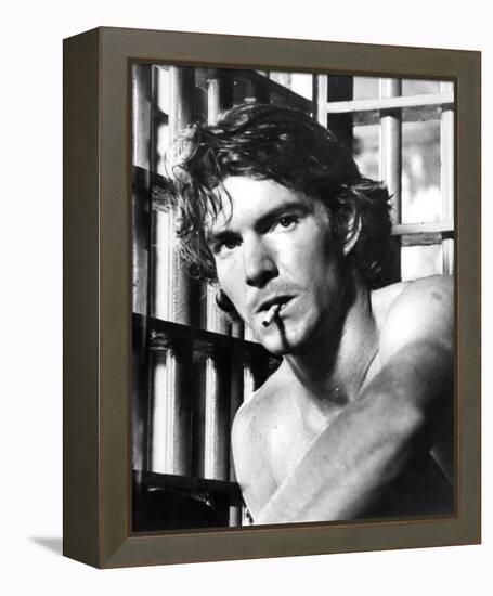 Dennis Quaid - The Night the Lights Went Out in Georgia-null-Framed Stretched Canvas