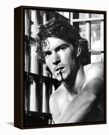 Dennis Quaid - The Night the Lights Went Out in Georgia-null-Framed Stretched Canvas