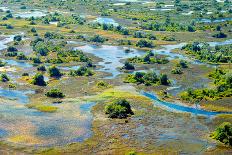 Aerial View of the Spring Floods of the Okavango Delta, Botswana,Africa-Dennis Sabo-Photographic Print