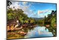 Photographic Print