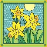 Daffodils 1-Denny Driver-Giclee Print