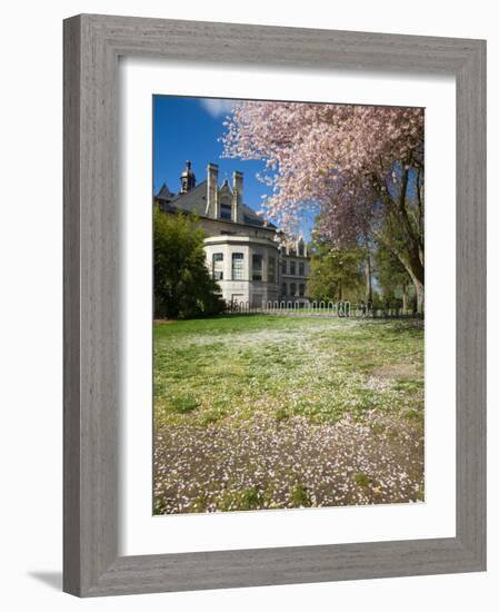 Denny Hall with Blooming Cherry Trees, University of Washington, Seattle, Washington, USA-Jamie & Judy Wild-Framed Photographic Print