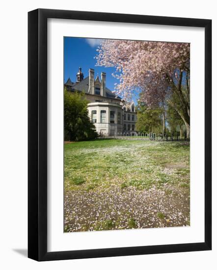 Denny Hall with Blooming Cherry Trees, University of Washington, Seattle, Washington, USA-Jamie & Judy Wild-Framed Photographic Print