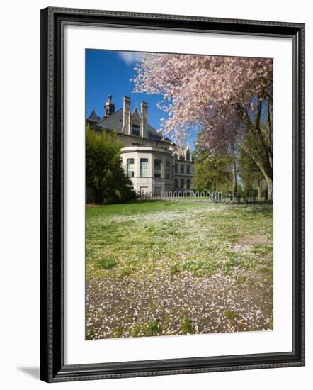 Denny Hall with Blooming Cherry Trees, University of Washington, Seattle, Washington, USA-Jamie & Judy Wild-Framed Photographic Print