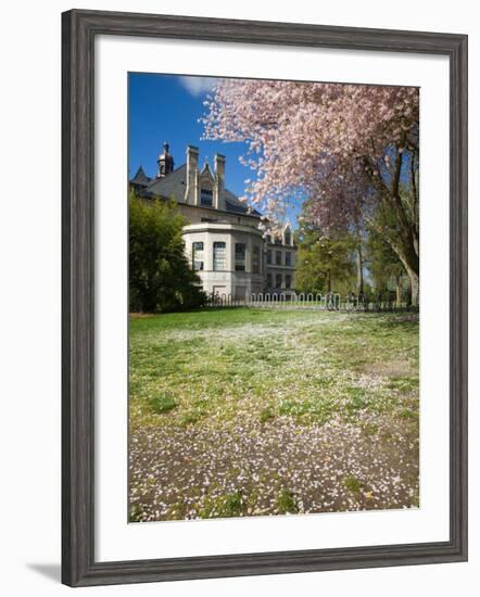 Denny Hall with Blooming Cherry Trees, University of Washington, Seattle, Washington, USA-Jamie & Judy Wild-Framed Photographic Print