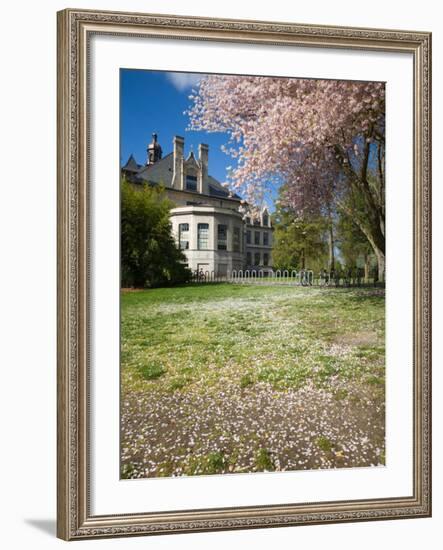 Denny Hall with Blooming Cherry Trees, University of Washington, Seattle, Washington, USA-Jamie & Judy Wild-Framed Photographic Print