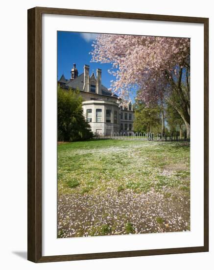 Denny Hall with Blooming Cherry Trees, University of Washington, Seattle, Washington, USA-Jamie & Judy Wild-Framed Photographic Print