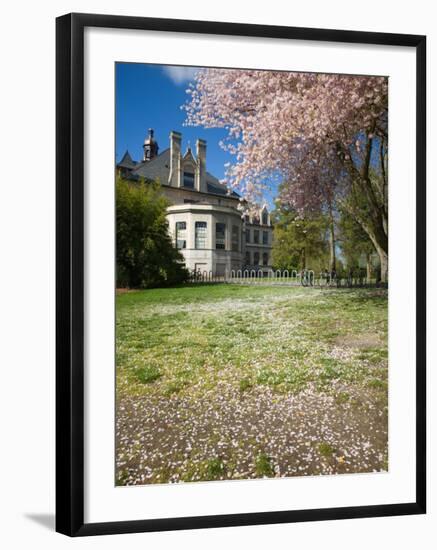 Denny Hall with Blooming Cherry Trees, University of Washington, Seattle, Washington, USA-Jamie & Judy Wild-Framed Photographic Print