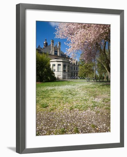 Denny Hall with Blooming Cherry Trees, University of Washington, Seattle, Washington, USA-Jamie & Judy Wild-Framed Photographic Print