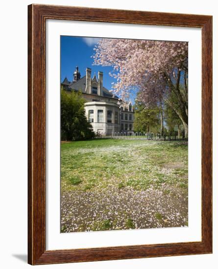 Denny Hall with Blooming Cherry Trees, University of Washington, Seattle, Washington, USA-Jamie & Judy Wild-Framed Photographic Print