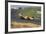 Denny Hulme, Dutch Grand Prix, Zandvoort, 1968-null-Framed Photographic Print