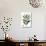 Dense Flowered Oak-Thomas Nuttall-Premium Giclee Print displayed on a wall