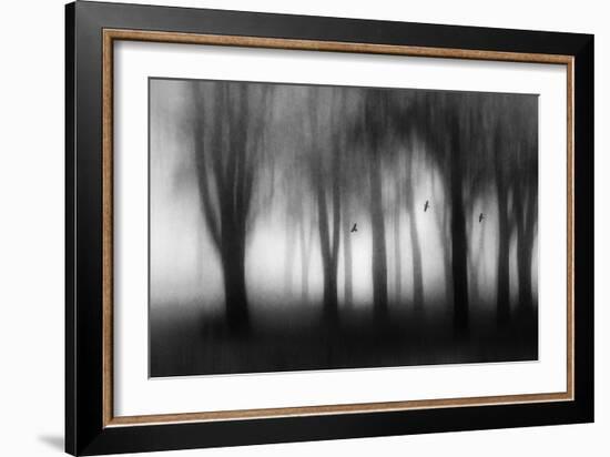 Dense Fog-Jacqueline van Bijnen-Framed Giclee Print