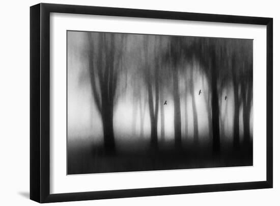 Dense Fog-Jacqueline van Bijnen-Framed Giclee Print