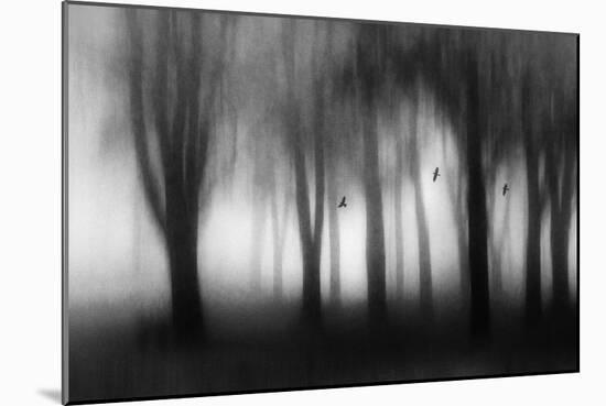 Dense Fog-Jacqueline van Bijnen-Mounted Giclee Print