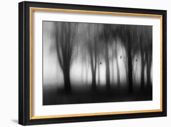 Dense Fog-Jacqueline van Bijnen-Framed Giclee Print