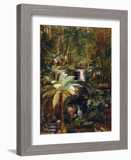 Dense Jungle in New Guinea-Charles E Gordon Frazer-Framed Art Print