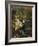 Dense Jungle in New Guinea-Charles E Gordon Frazer-Framed Art Print