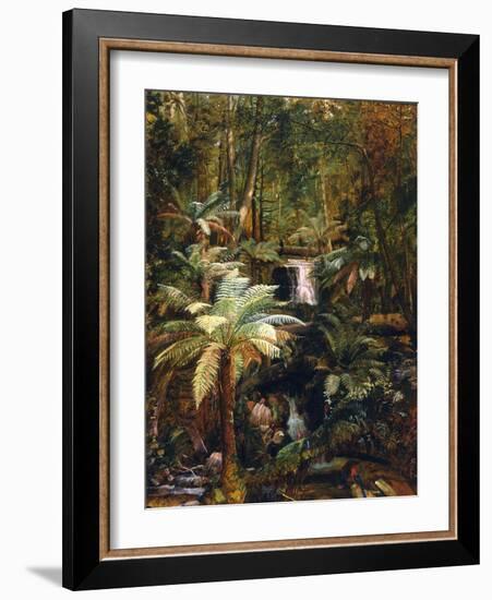 Dense Jungle in New Guinea-Charles E Gordon Frazer-Framed Art Print