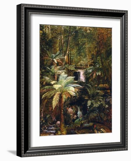 Dense Jungle in New Guinea-Charles E Gordon Frazer-Framed Art Print