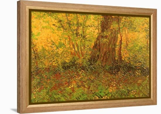 Dense Undergrowth, 1887-Vincent van Gogh-Framed Premier Image Canvas