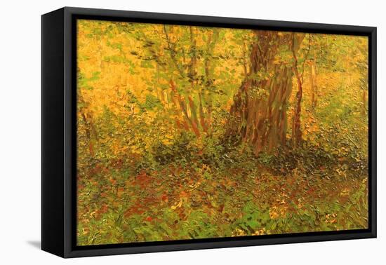 Dense Undergrowth, 1887-Vincent van Gogh-Framed Premier Image Canvas