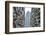 Densely crowded apartment buildings, Hong Kong Island, Hong Kong, China, Asia-Fraser Hall-Framed Photographic Print