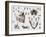 Dental Anatomy-Mehau Kulyk-Framed Photographic Print