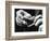 Dental Checkup for Baby Crocodile-null-Framed Photographic Print