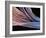 Dental Floss, SEM-Steve Gschmeissner-Framed Photographic Print