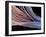 Dental Floss, SEM-Steve Gschmeissner-Framed Photographic Print