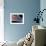 Dental Floss, SEM-Steve Gschmeissner-Framed Photographic Print displayed on a wall