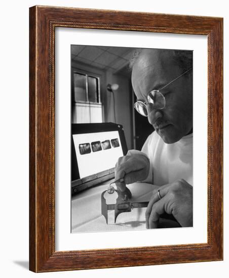 Dentist Dr. Harland Measuring Tooth to Be Used in Medical Dentistry-J^ R^ Eyerman-Framed Photographic Print