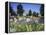 Denver Botanic Gardens, Denver, CO-Sherwood Hoffman-Framed Premier Image Canvas