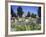 Denver Botanic Gardens, Denver, CO-Sherwood Hoffman-Framed Photographic Print