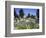 Denver Botanic Gardens, Denver, CO-Sherwood Hoffman-Framed Photographic Print