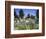 Denver Botanic Gardens, Denver, CO-Sherwood Hoffman-Framed Photographic Print