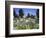 Denver Botanic Gardens, Denver, CO-Sherwood Hoffman-Framed Photographic Print