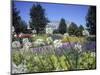 Denver Botanic Gardens, Denver, CO-Sherwood Hoffman-Mounted Photographic Print